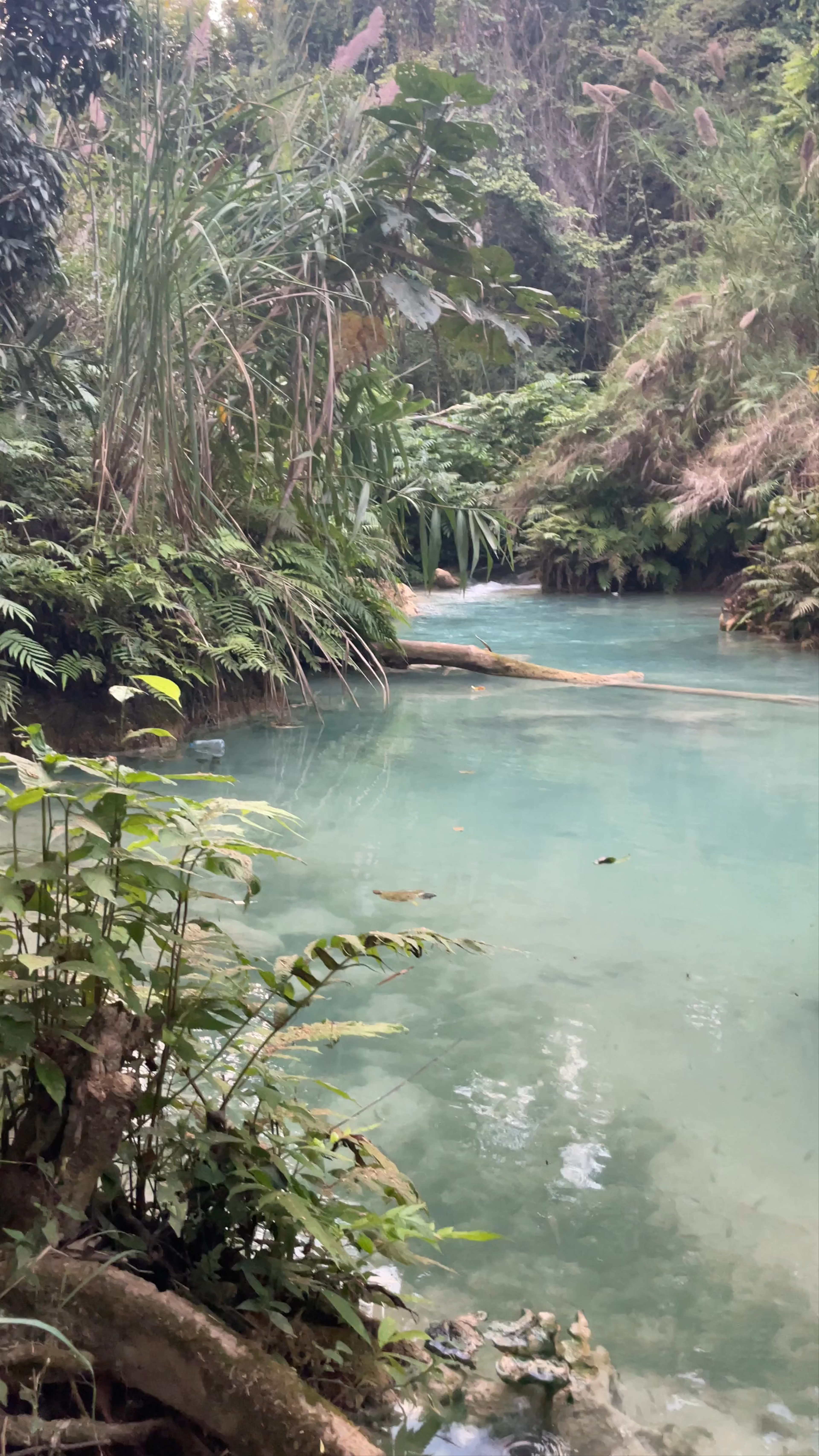 Kuang Si Waterfall