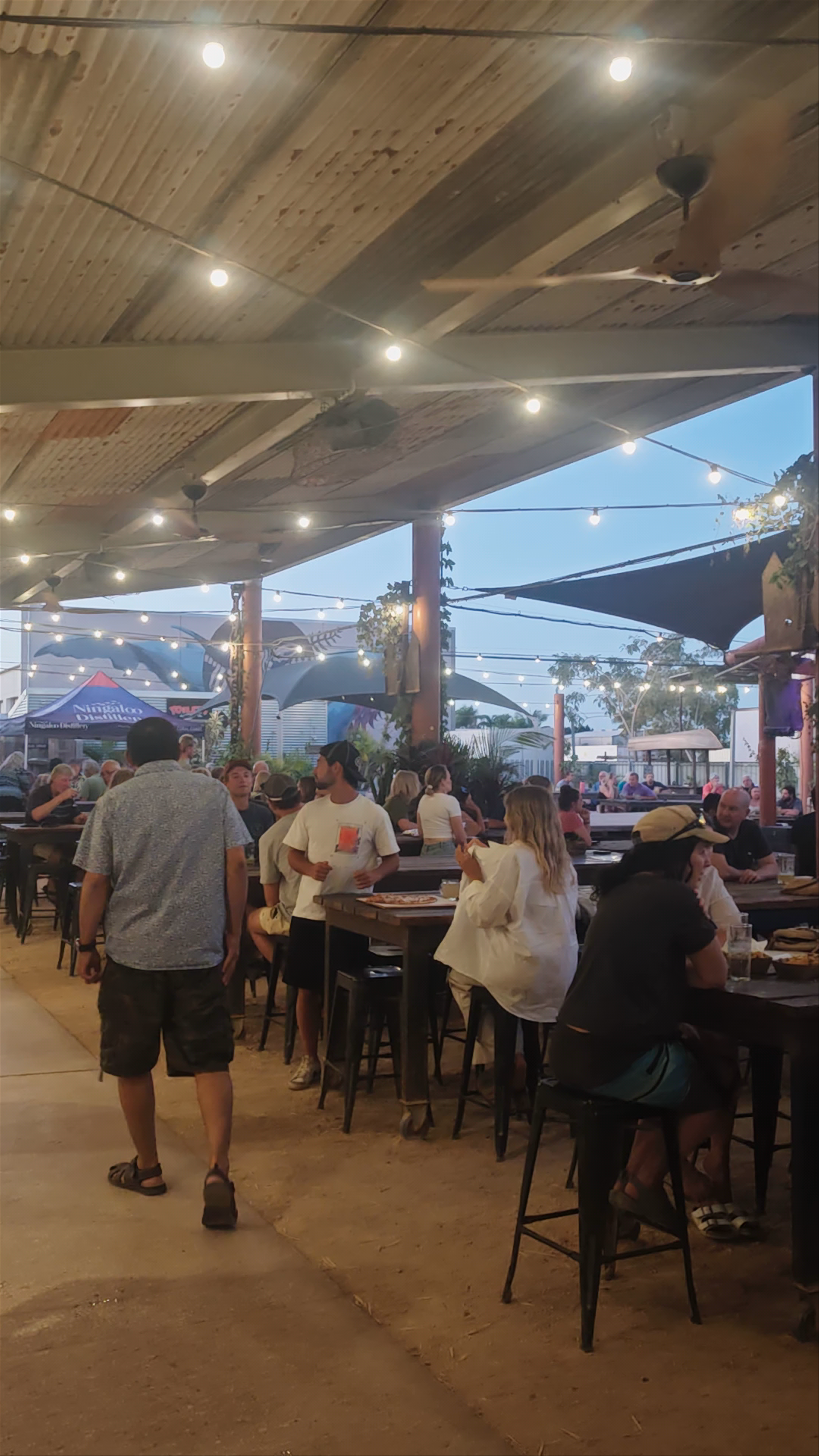 Whalebone Brewing Company: Vibrant Evening Vibes in Exmouth