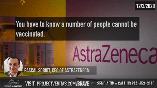 Video Thumbnail Loop