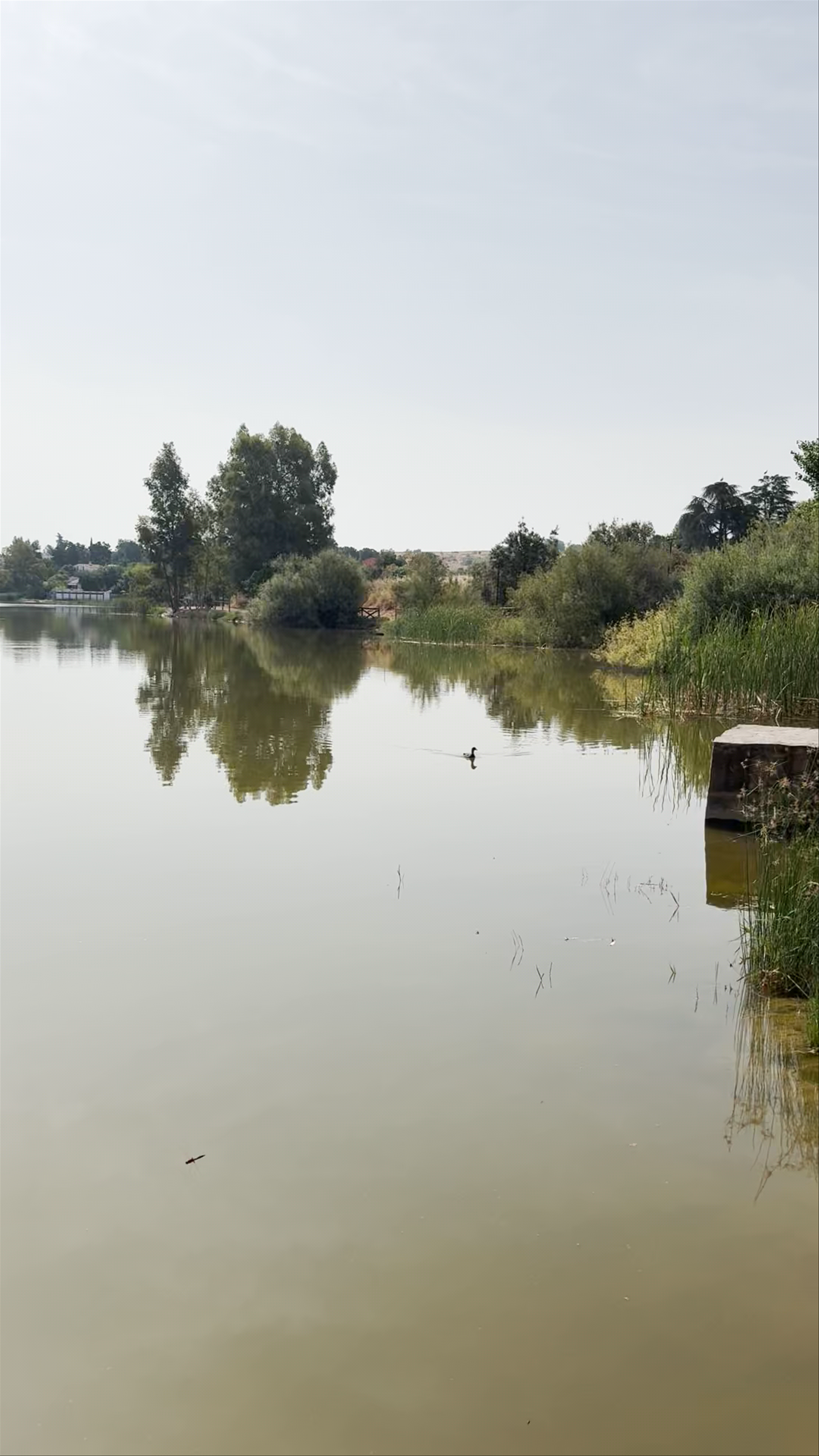 Tranquil Waters at Presa Romana de Proserpina, Mérida