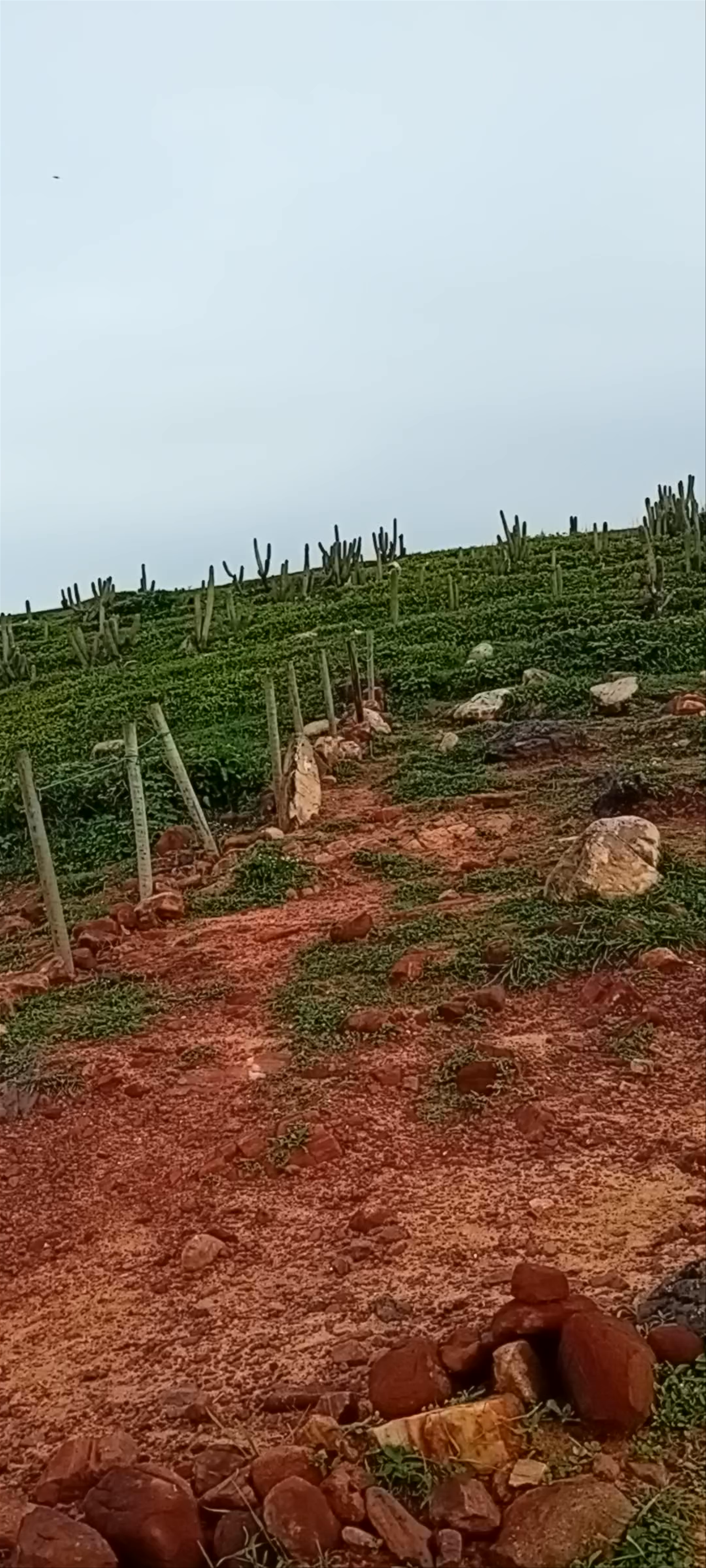 Pedra Furada - Jericoacoara - Vila de Jericoacoara