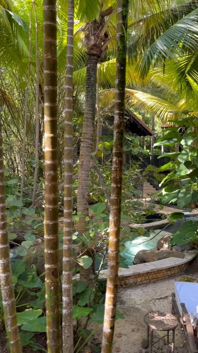 Spa Botanico - Day Spas Near Me - Dorado, Puerto Rico
