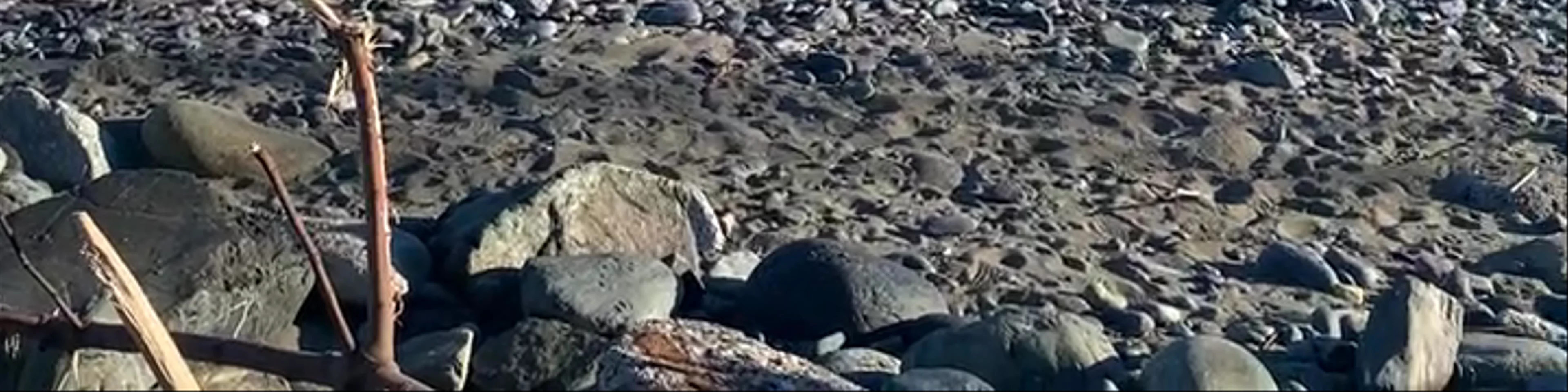 Spiaggia di Vernazzola
