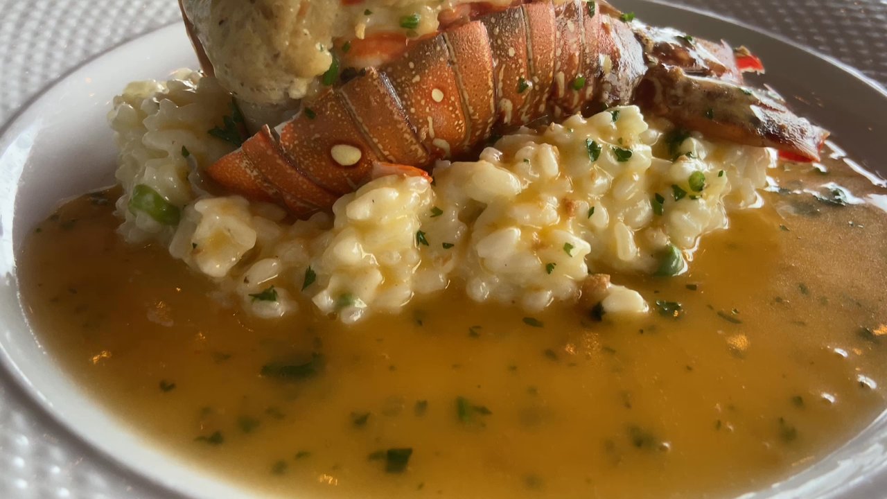 Blue - Stuffed Lobster Tail , yum - Mediterranean Near Me - Staten Island, New York