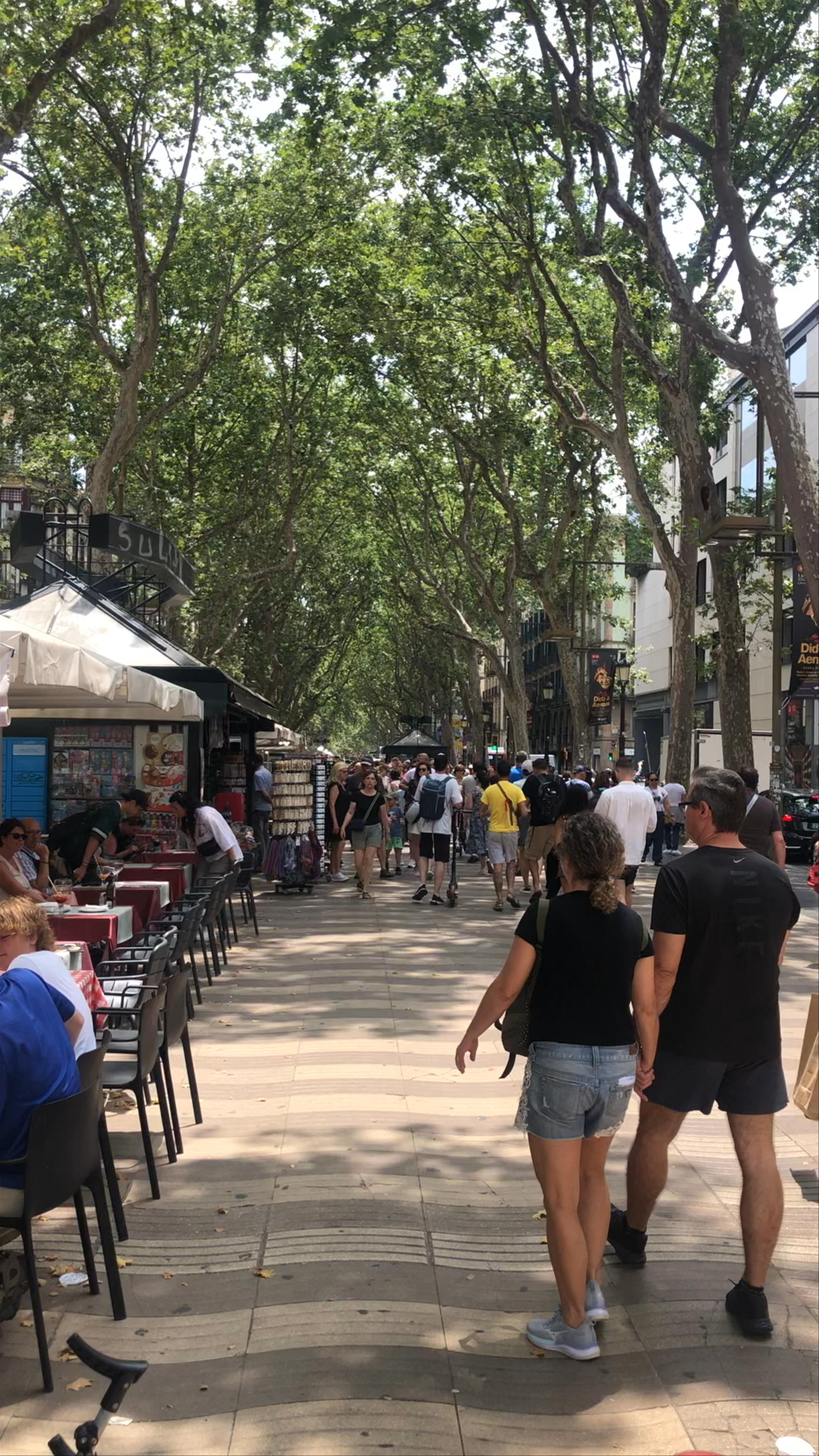 La Rambla: The Vibrant Heart of Barcelona