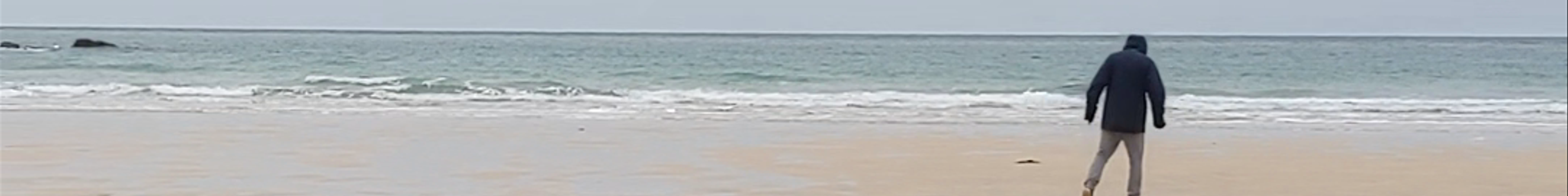 Tours & experiences in St Ives