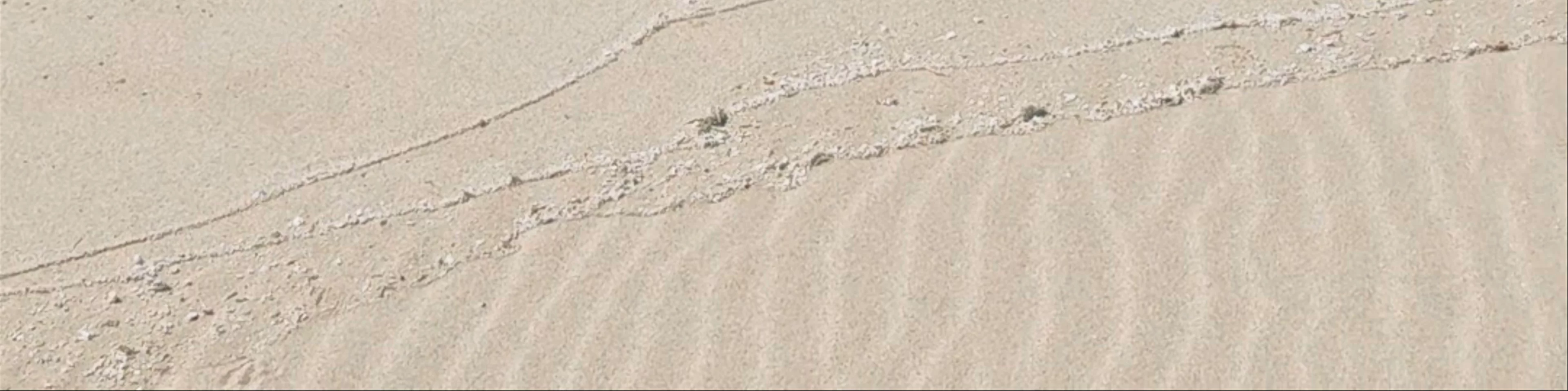 Sandy bay