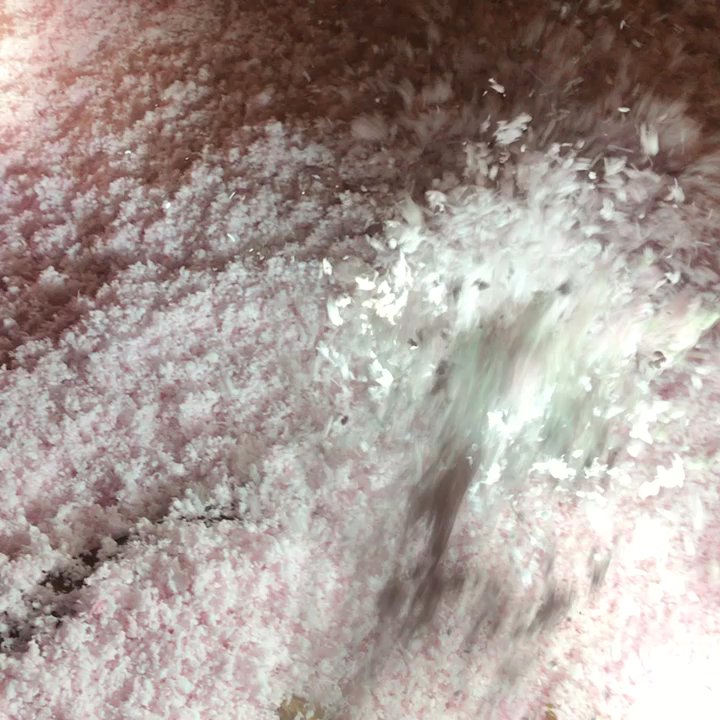 Eco Energy Guard - Owens Corning. No chemicals, never settles, low dust, life time warrantee. It's like adding a thick down comforter for your home. - Home Energy Auditors Near Me - Canton, Connecticut