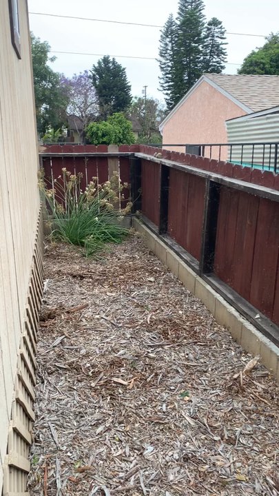 ML ProLandcare - Cleaned Patio and Yard. I wish I had a before pic, but imagine all of this covered in green and weeds! - Landscaping Near Me