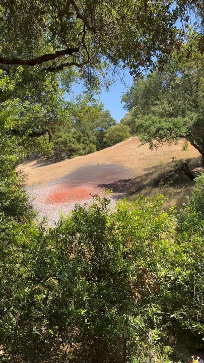 Coyote Valley Sporting Clays - @lesminaddio - Gun/Rifle Ranges Near Me - Morgan Hill, California