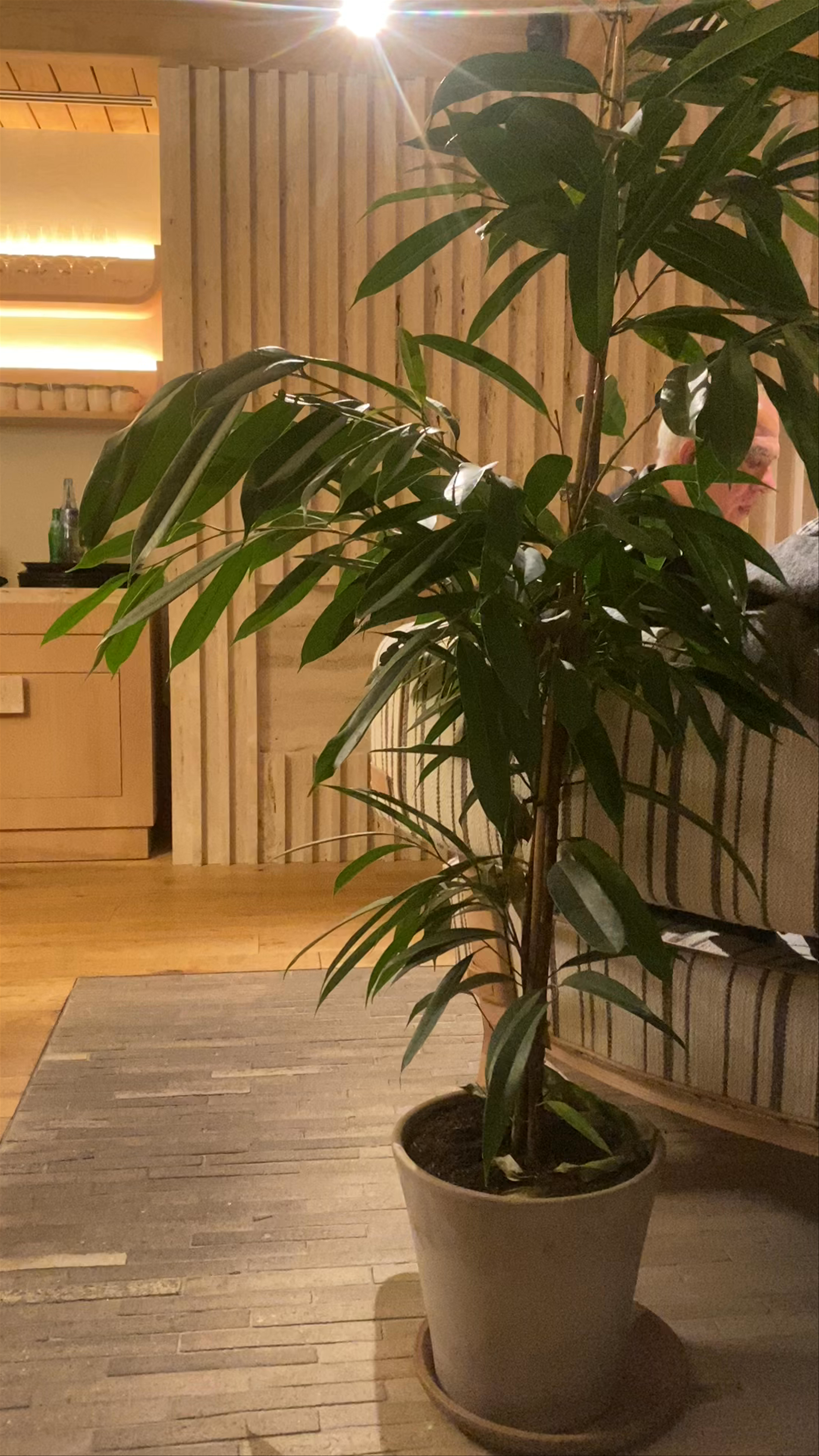 Tragabuches Madrid Dani García