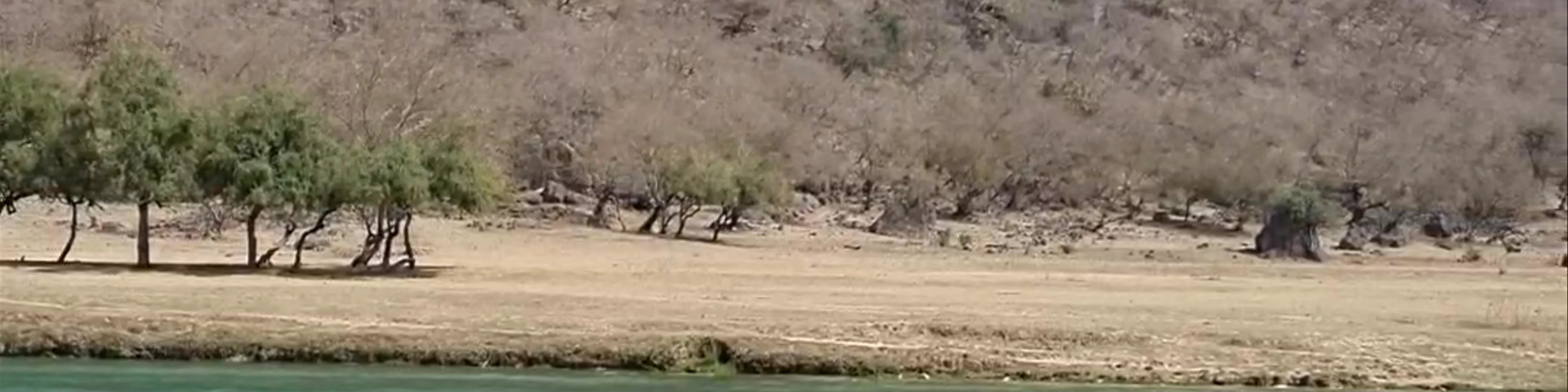 Wadi Darbat