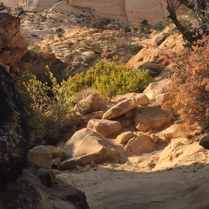 Capitol Gorge - Oct 2020: Basically the path of rainfall & snowmelt. Imagine raging waters swirling into several "Tanks" before falling into gorge below. - Hiking Near Me - Torrey, Utah