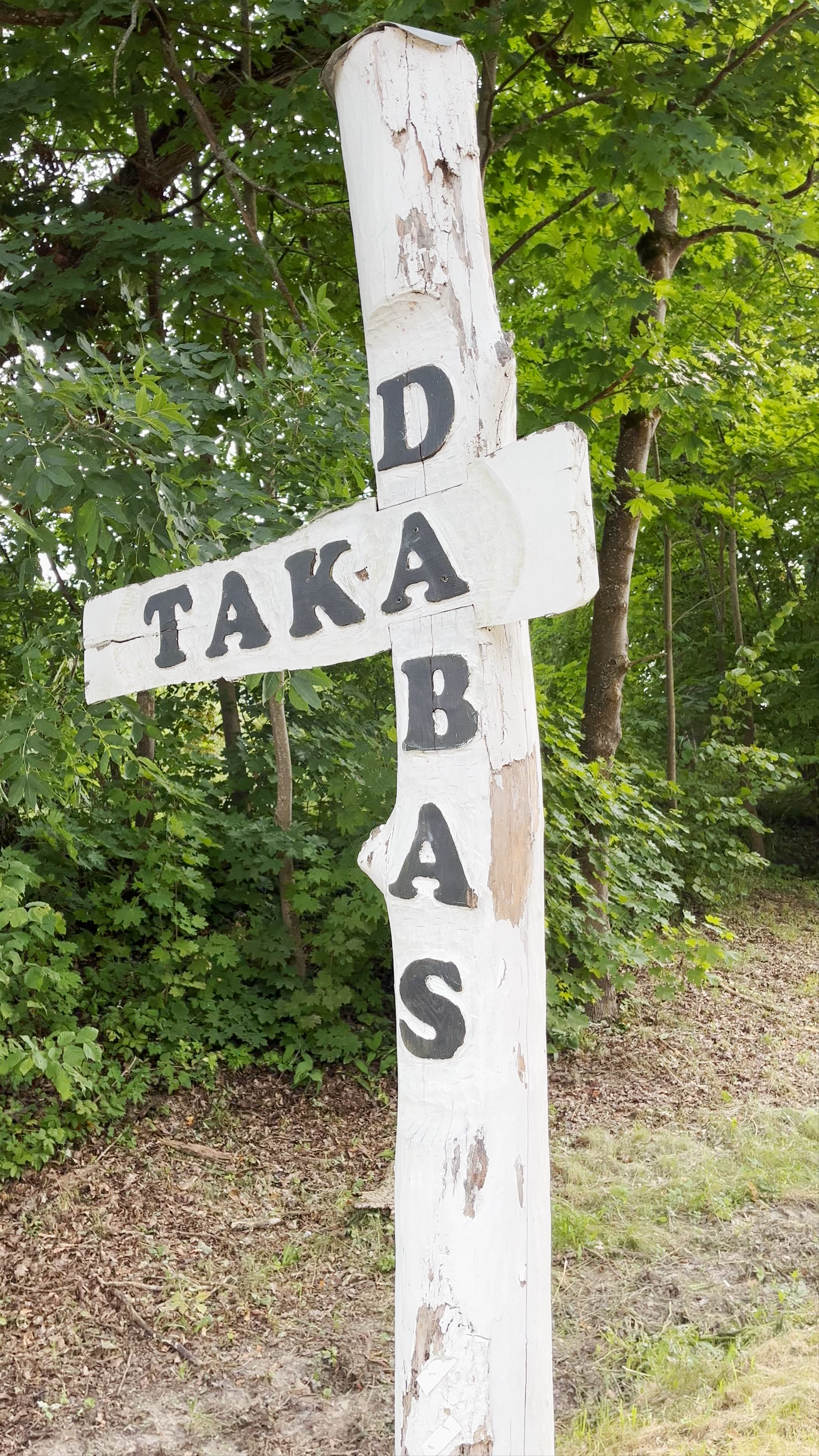 Kokneses Dabas Taka: Serene Forest Trail Adventure in Koknese Parish, Latvia