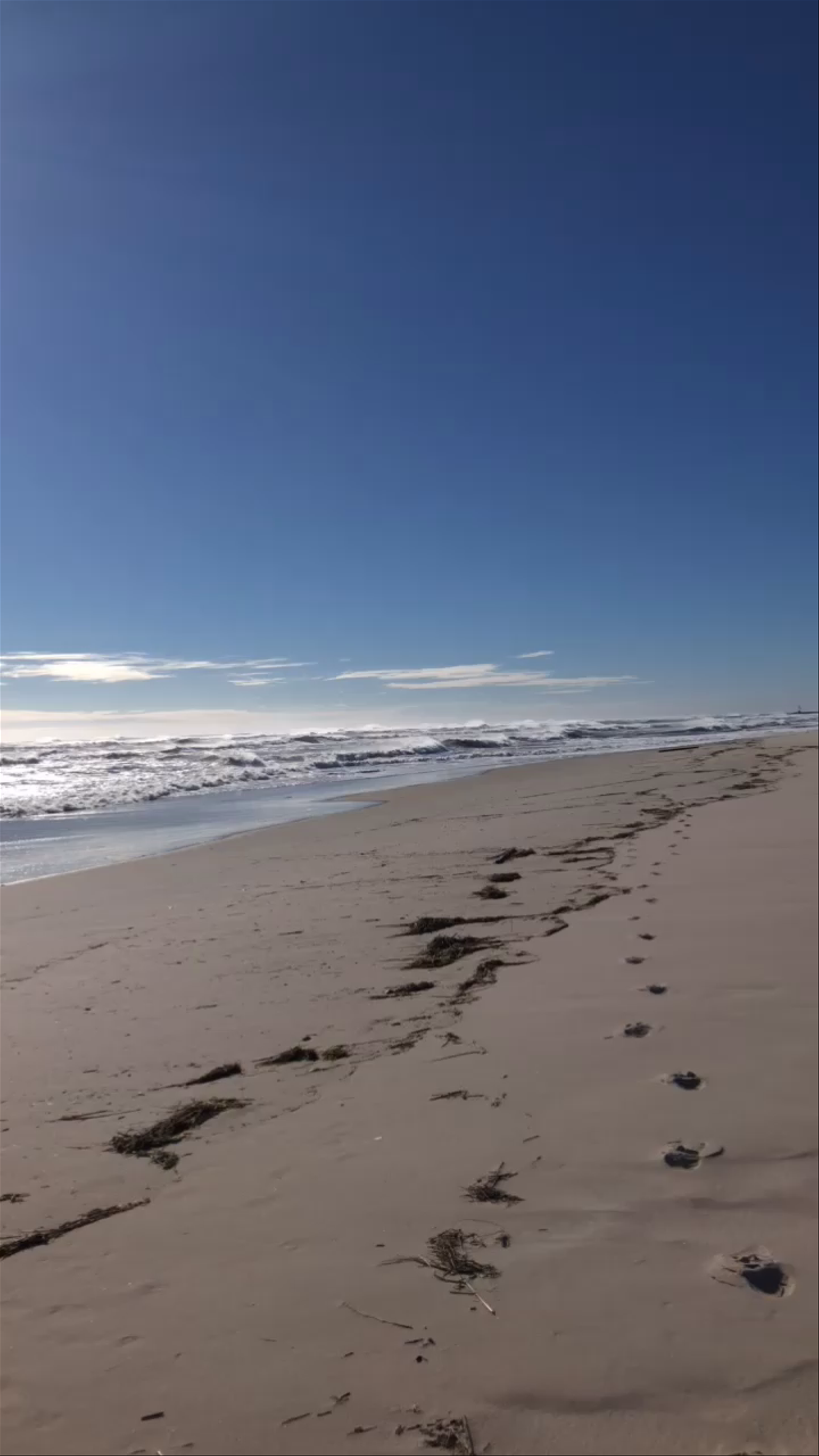Cupsogue Beach County Park