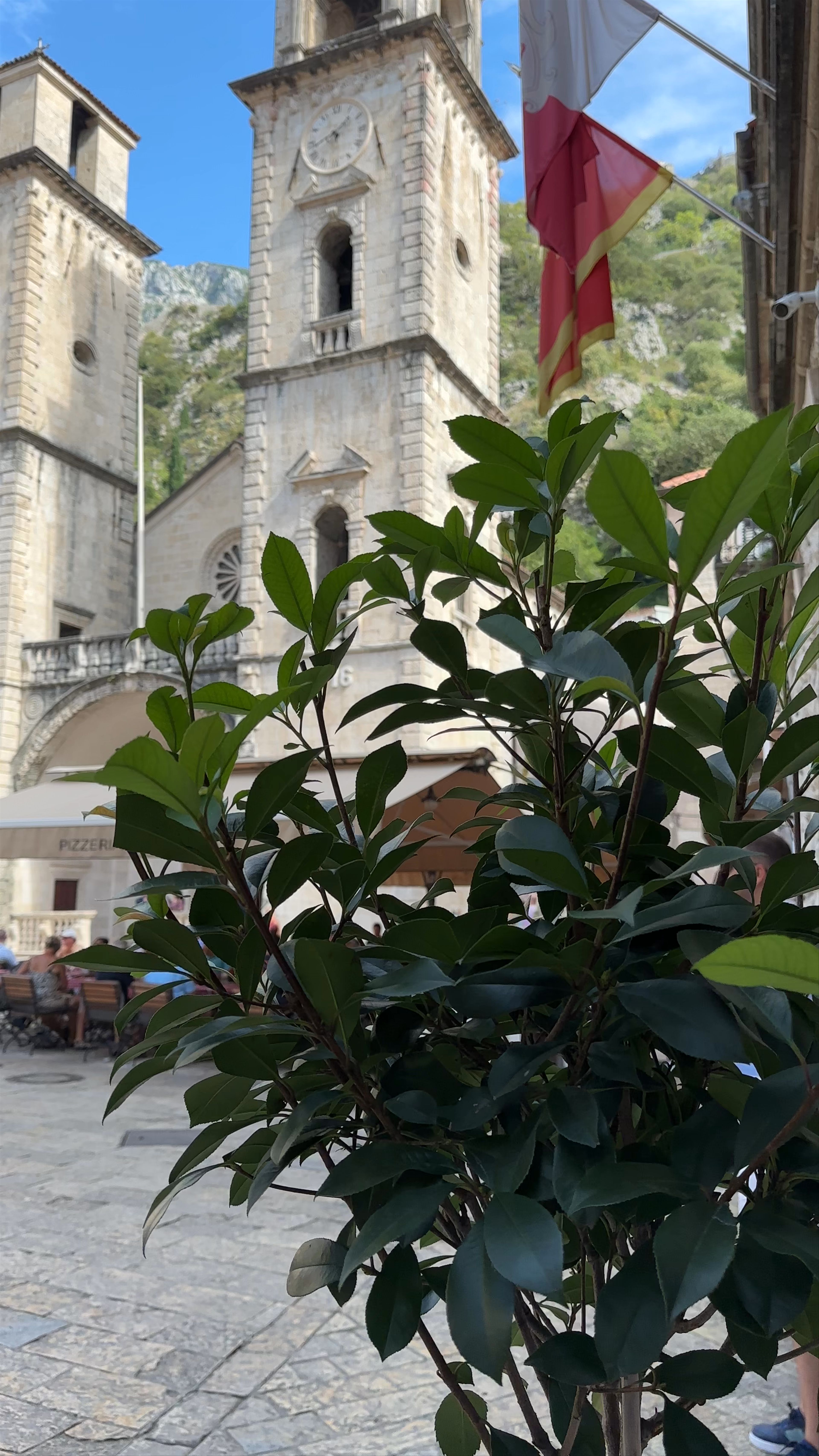 Discover Kotor Old Town City Walls — A Timeless Mediterranean Gem