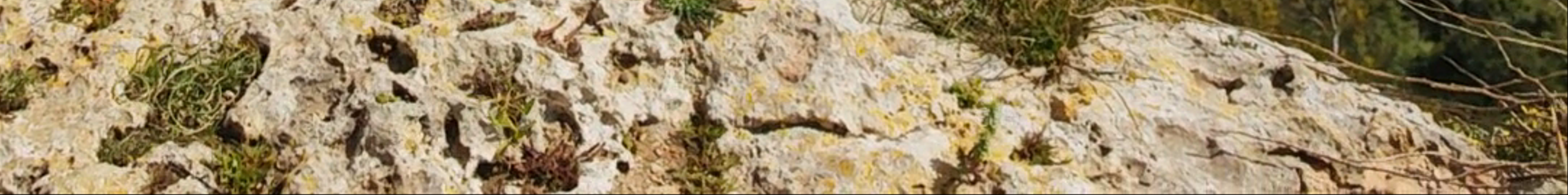 Tours & experiences in Dingli