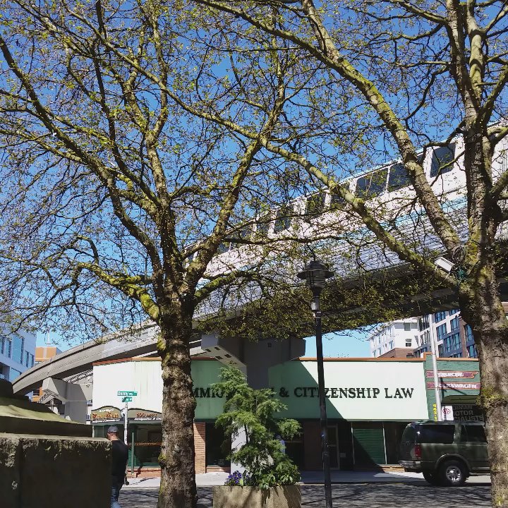Tilikum Place - A sunny spring Friday - Parks Near Me - Seattle, Washington