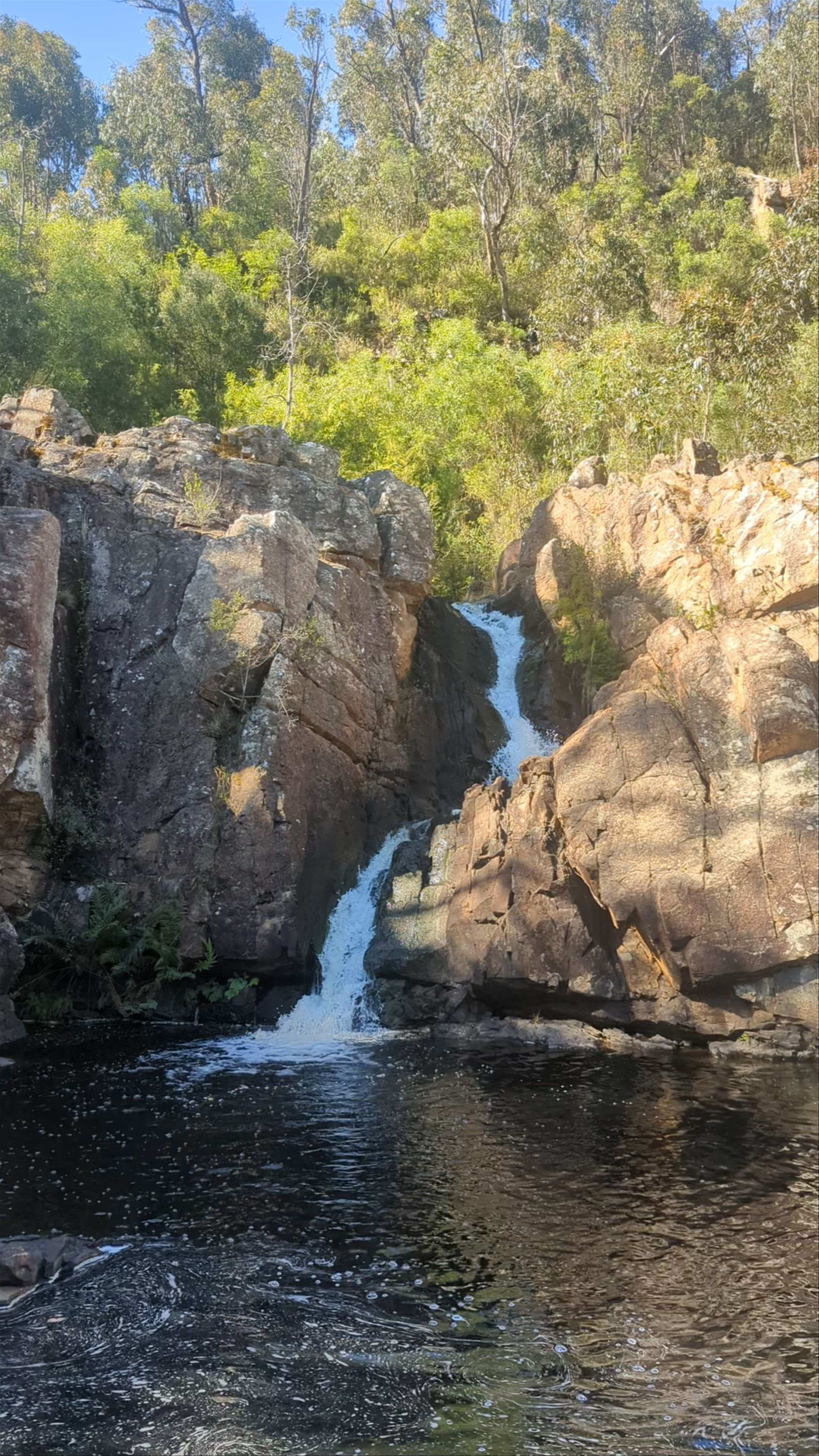 MacKenzie Falls Lookout