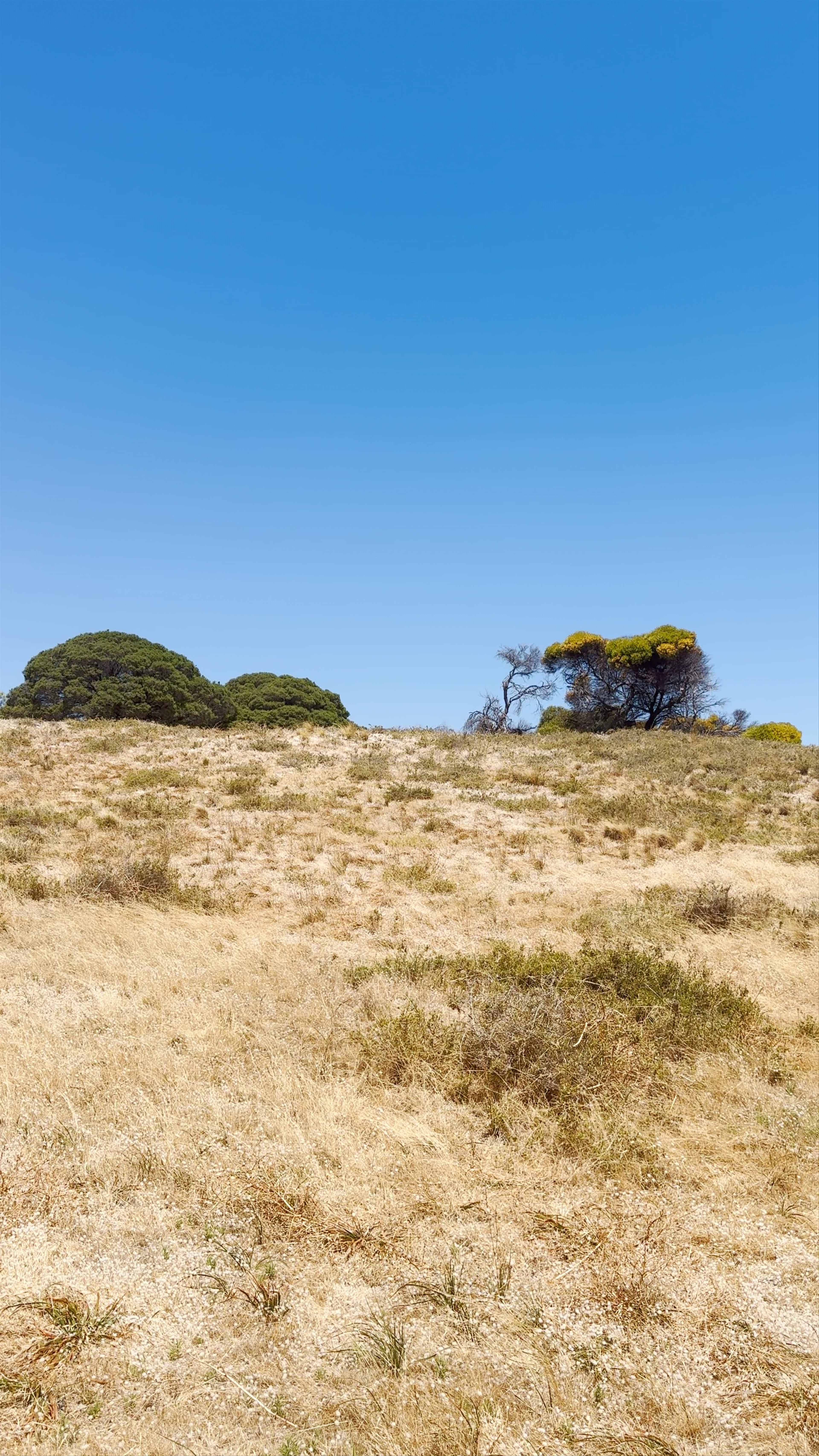 Bathurst Lighthouse Keepers Cottage