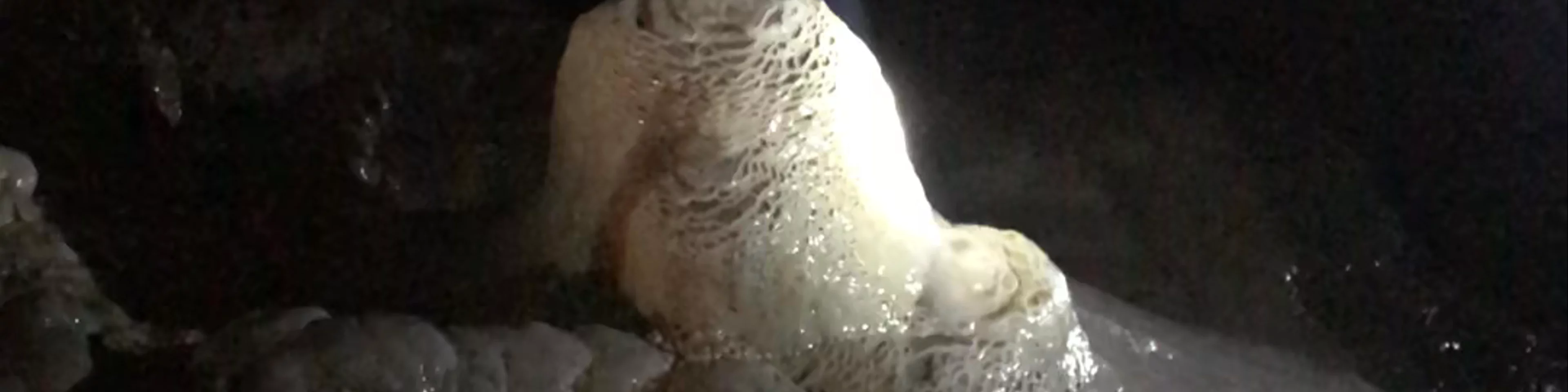 Doolin Cave