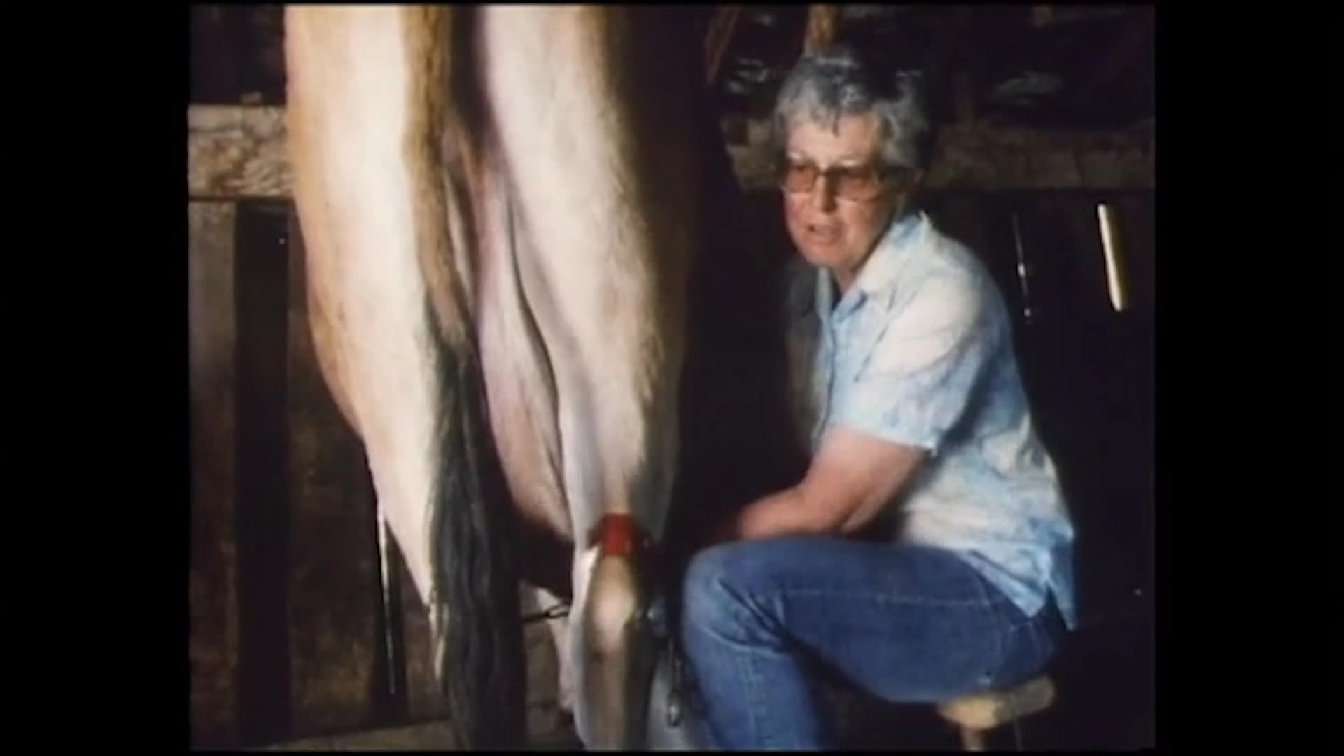 An older farm worker handles a metal pail beside a cow in a dim wooden barn. She recalls how farm chores were divided and reflects on how girls’ activities have changed over time.