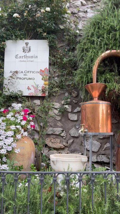 Carthusia - Perfume Near Me - Capri, NA