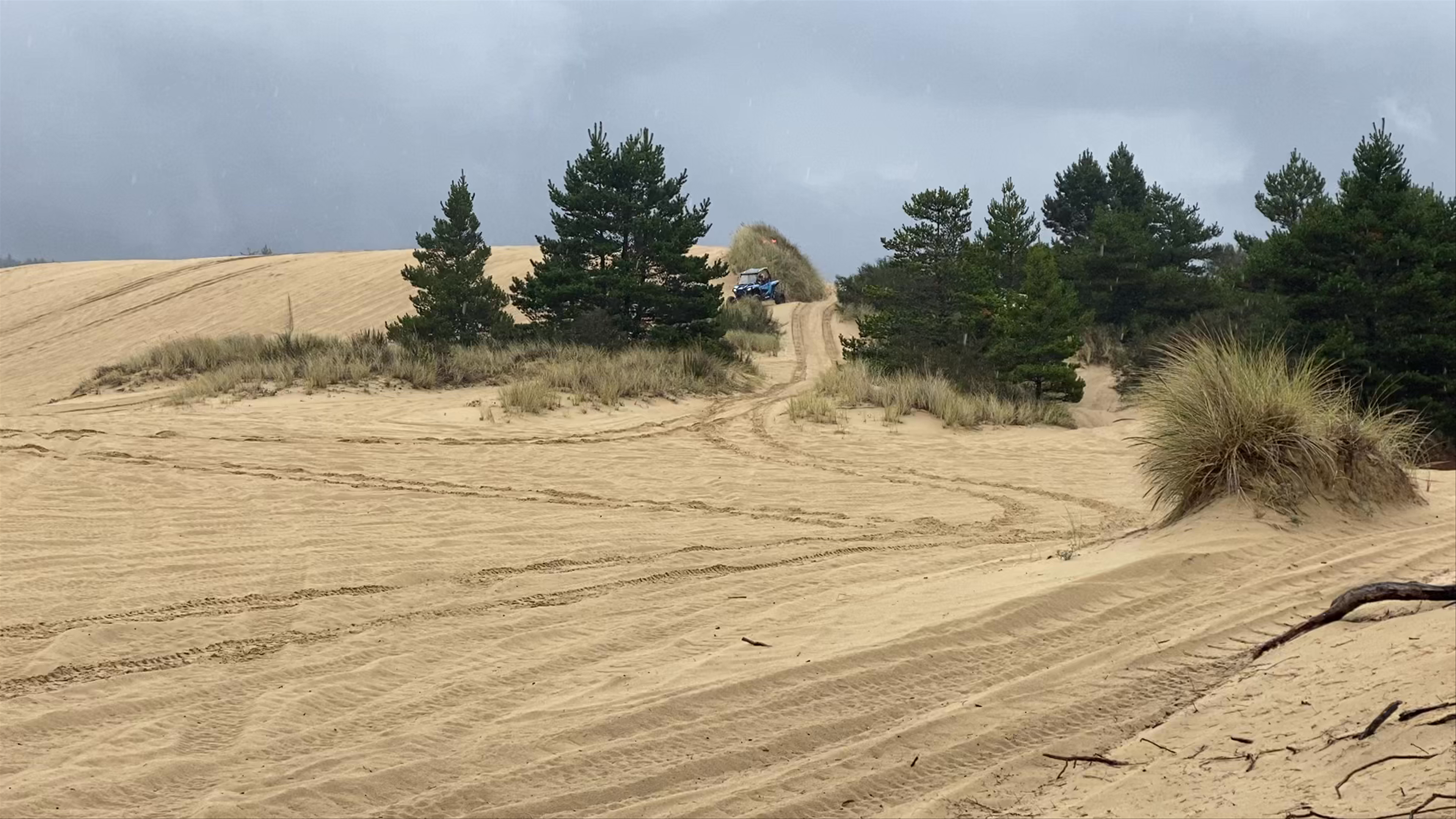 Oregon Dunes National Recreation Area