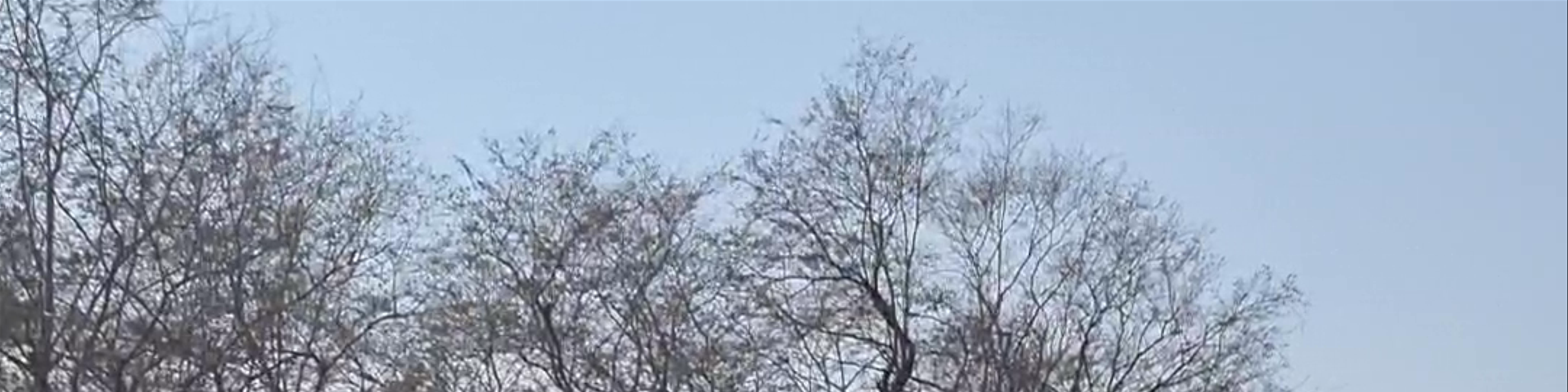 Dhofar