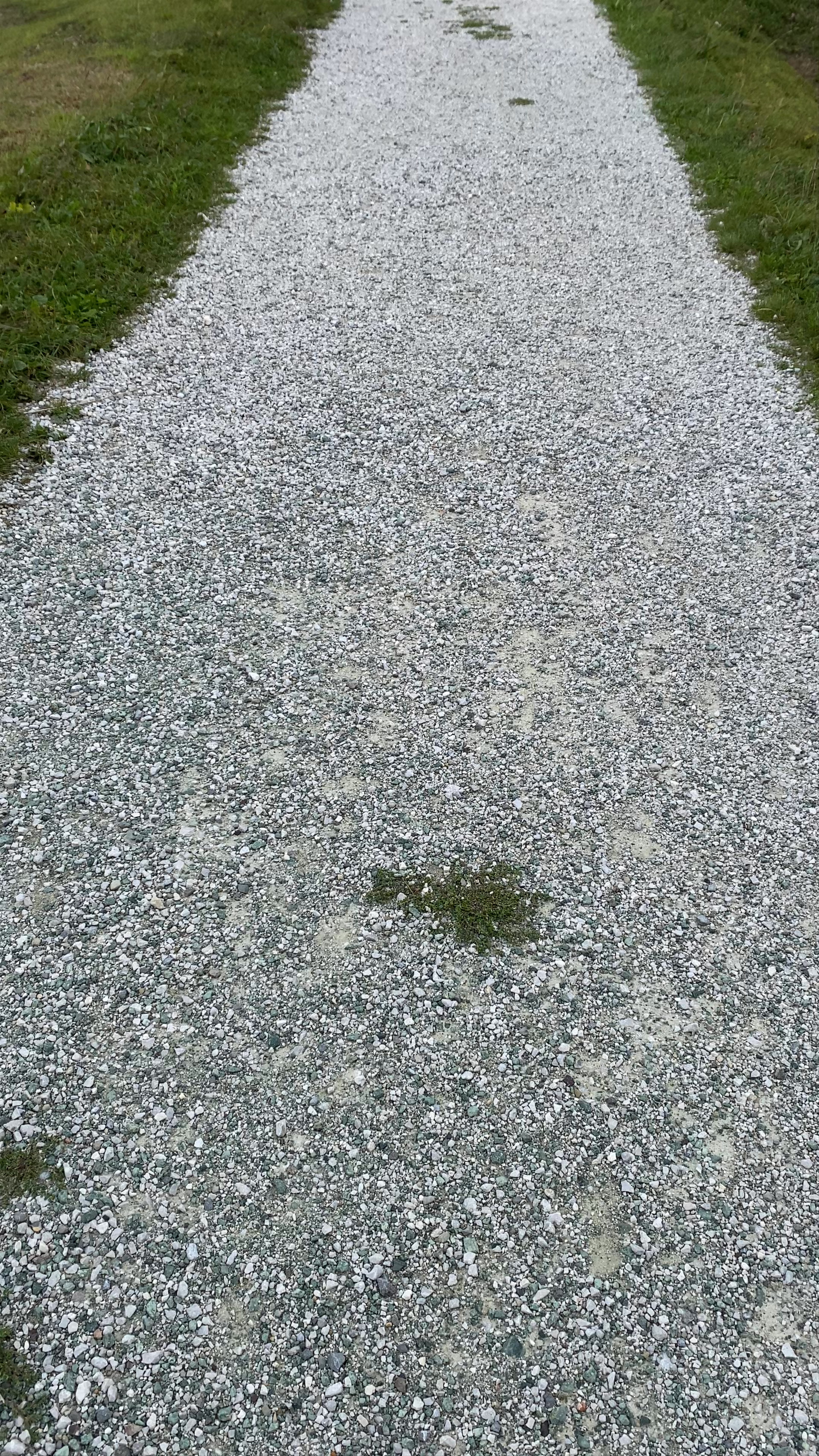 Hiking to the Catholic Church of Saint Primus and Felician in Jamnik, Slovenia
