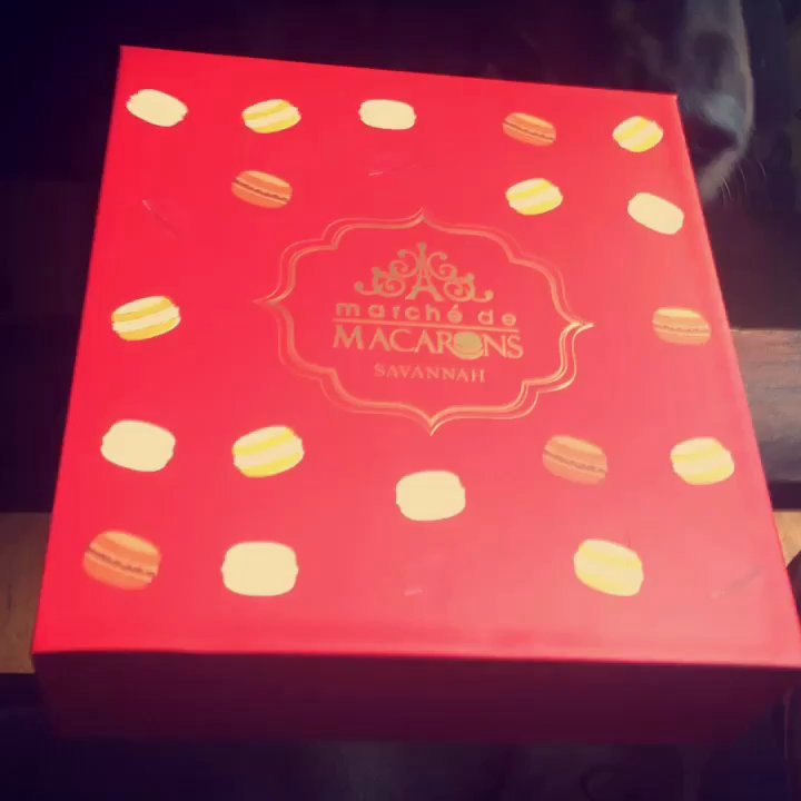 Marche de Macarons - They smell so good the Hound knows it! - Macarons Near Me - Savannah, Georgia