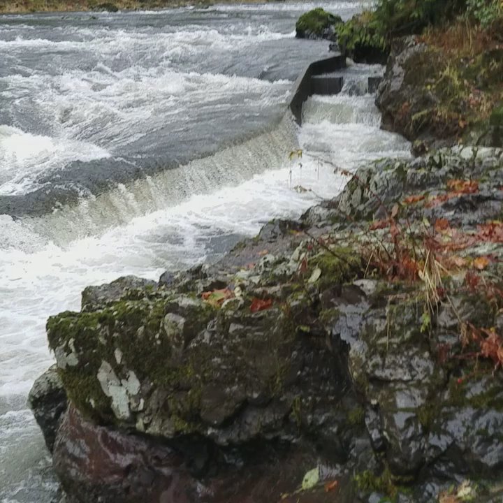 Nehalem Falls - Campgrounds Near Me