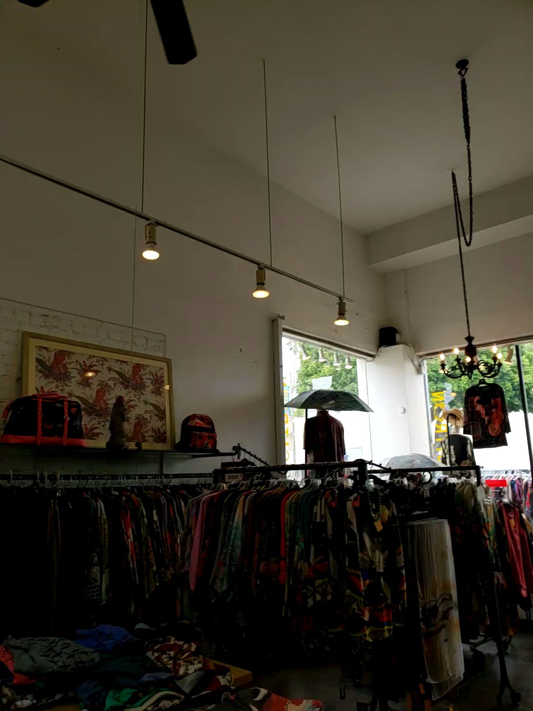 citronショップ❄︎ What is Citron (+3 Citron Recipes)