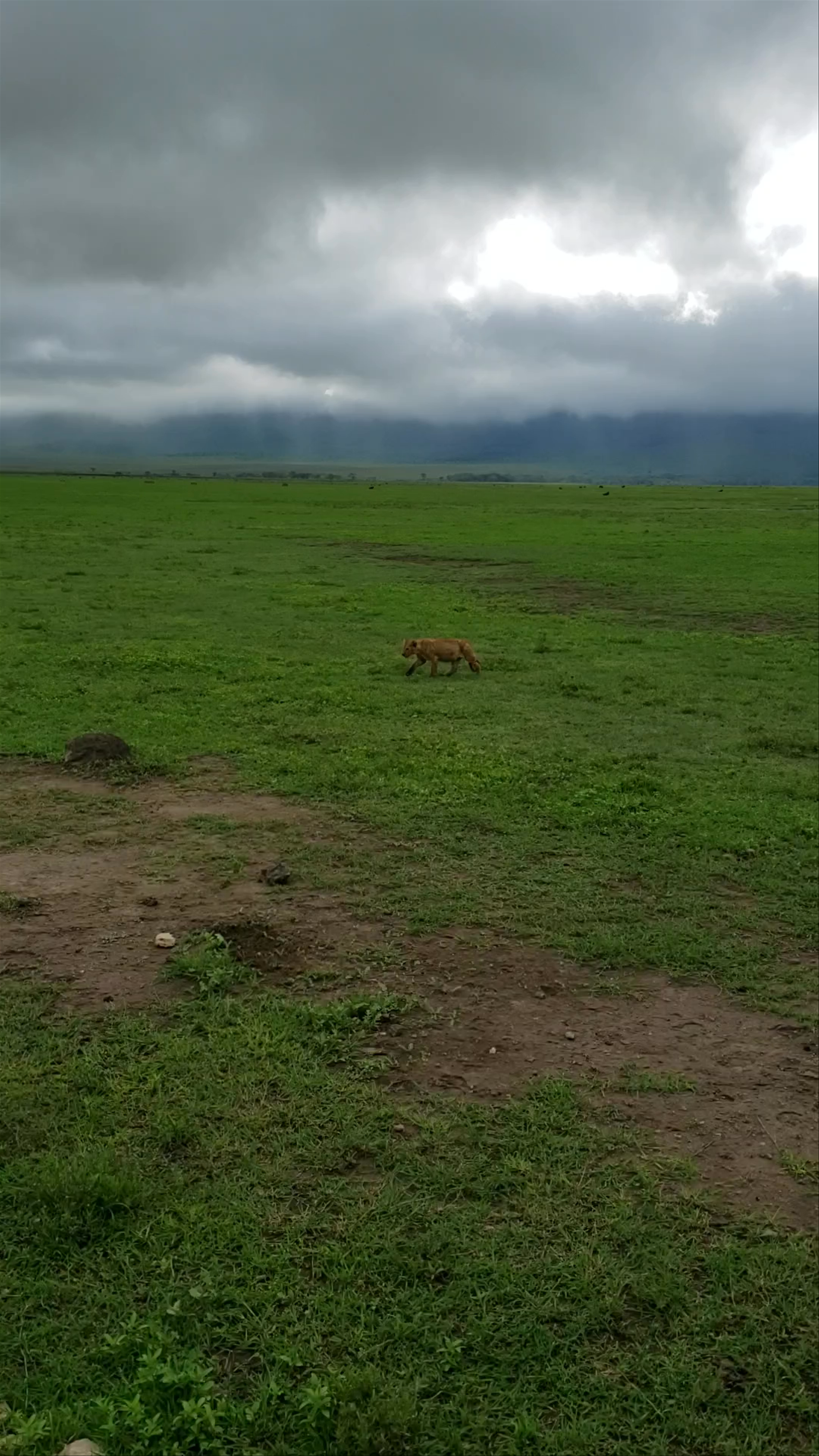 Serengeti National Park