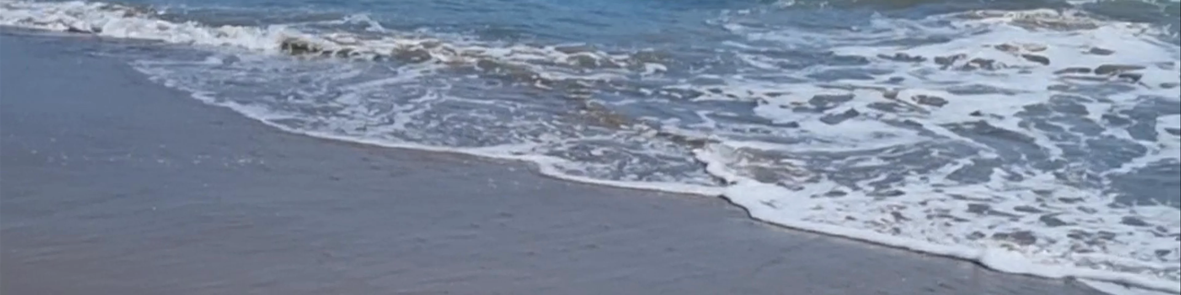 Puducherry Beach