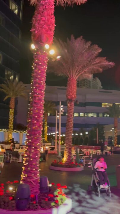 OASIS ICE RINK AT FONTAINEBLEAU - Updated June 2026 - 64 Photos & 39 ...