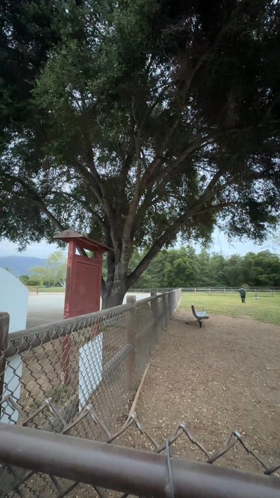 MITCHELL EDELSON DOG PARK - Updated April 2025 - Ojai, California - Dog ...