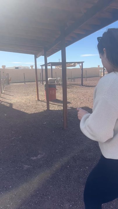 Raptor Ranch - You can feed the animals - RV Parks Near Me - Williams, Arizona