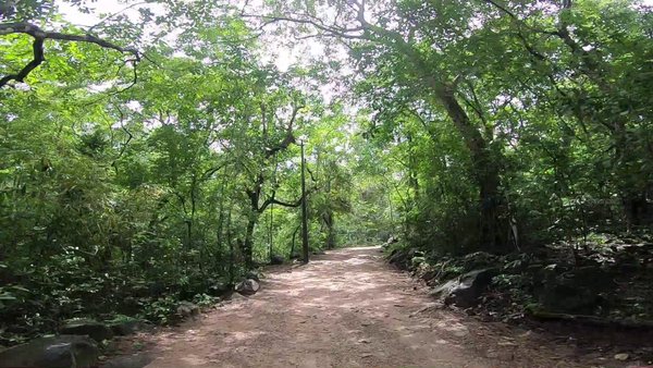 Photo of Meenmutty waterfalls