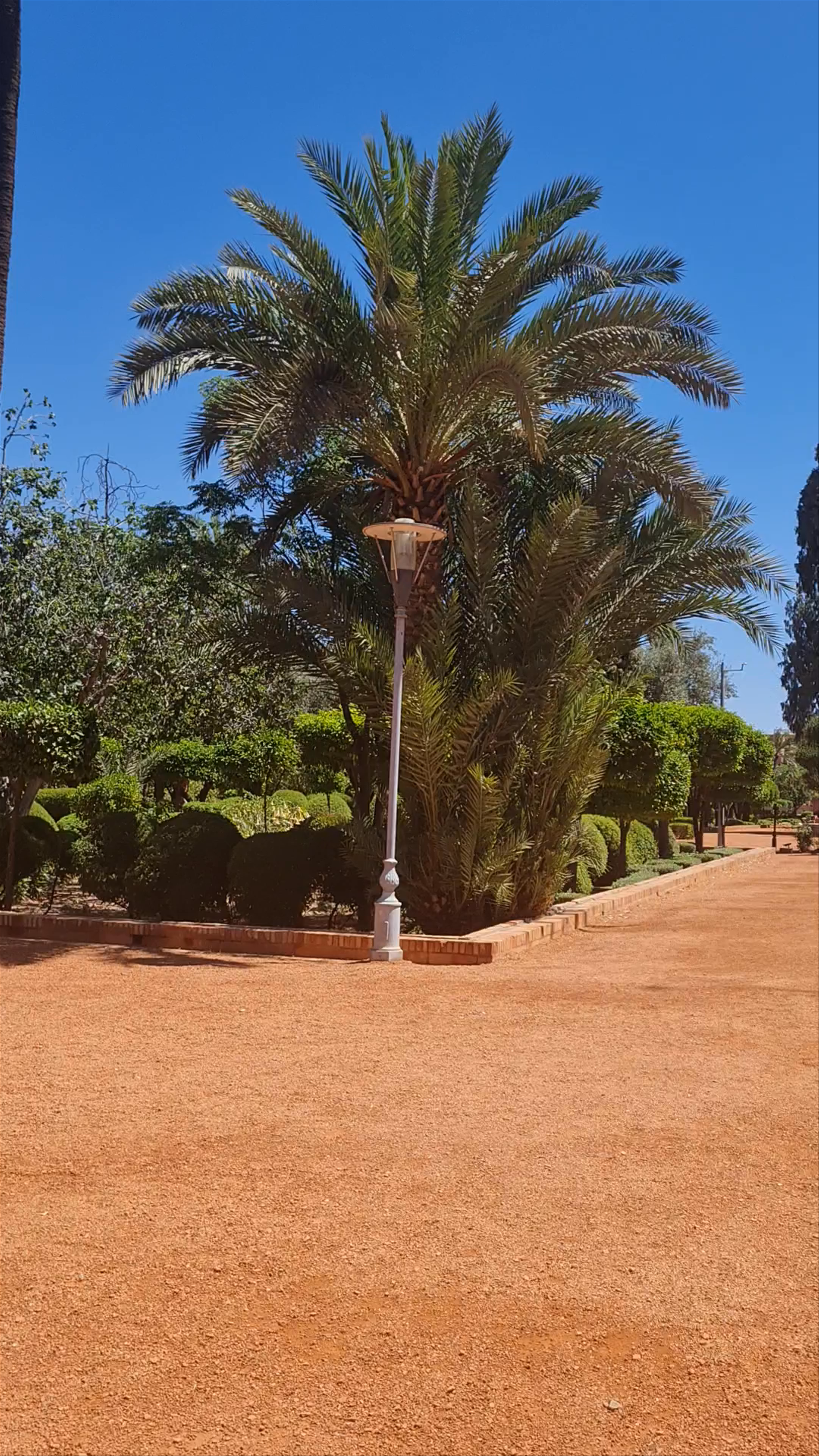 Cyber Parc Arsat Moulay Abdeslam