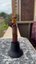 Small image 7