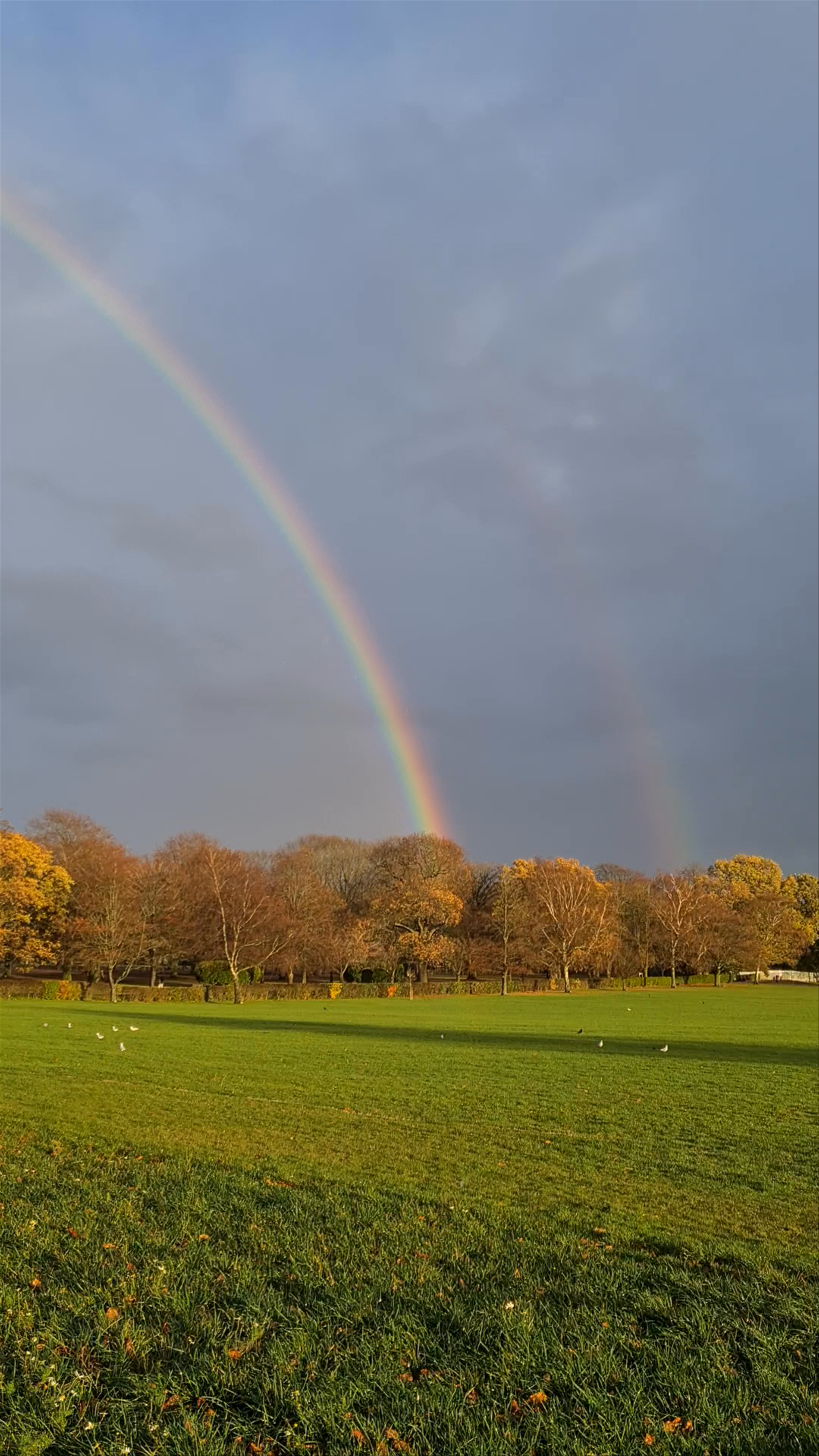 Rainbow over War Memorial Park: A Serene Autumn Afternoon in Coventry