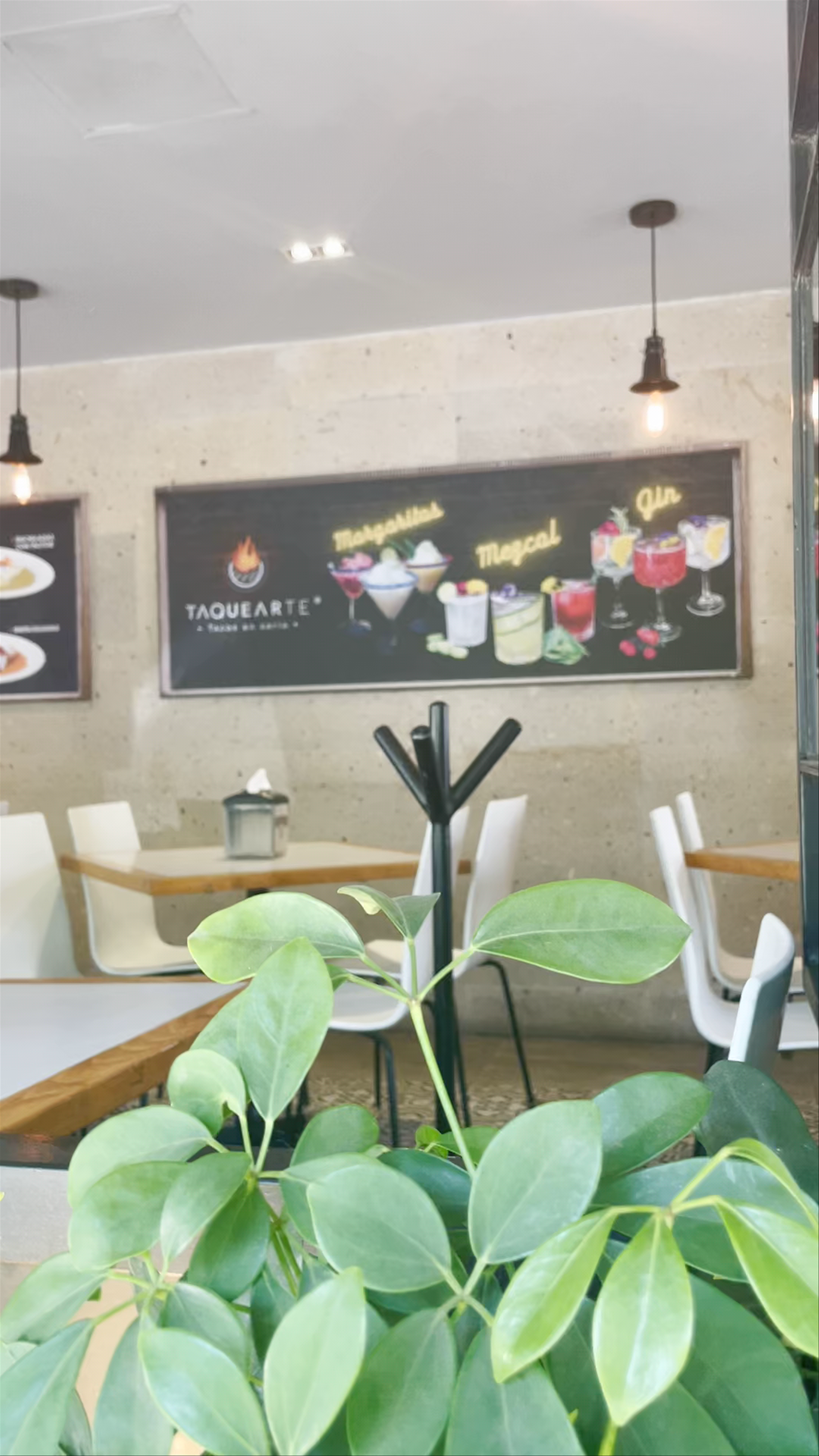 Taquearte Condesa