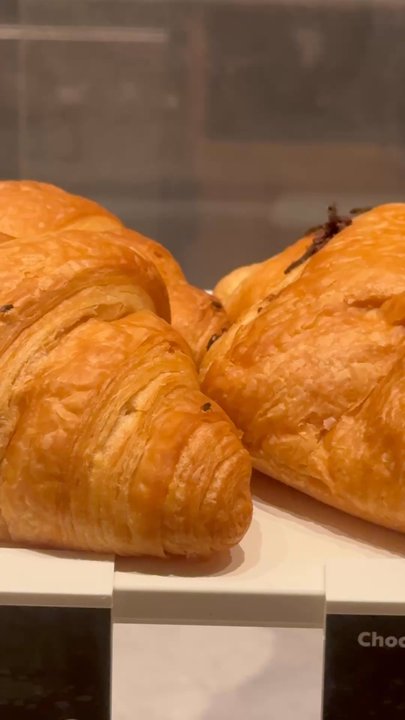 Starbucks - Gnats on multiple baked goods sold for consumption. - Coffee & Tea Near Me - Clarksville, Maryland