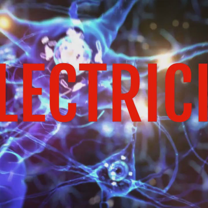 Selectricity - Halo Air Purification Systems - Electricians Near Me - Pensacola, Florida