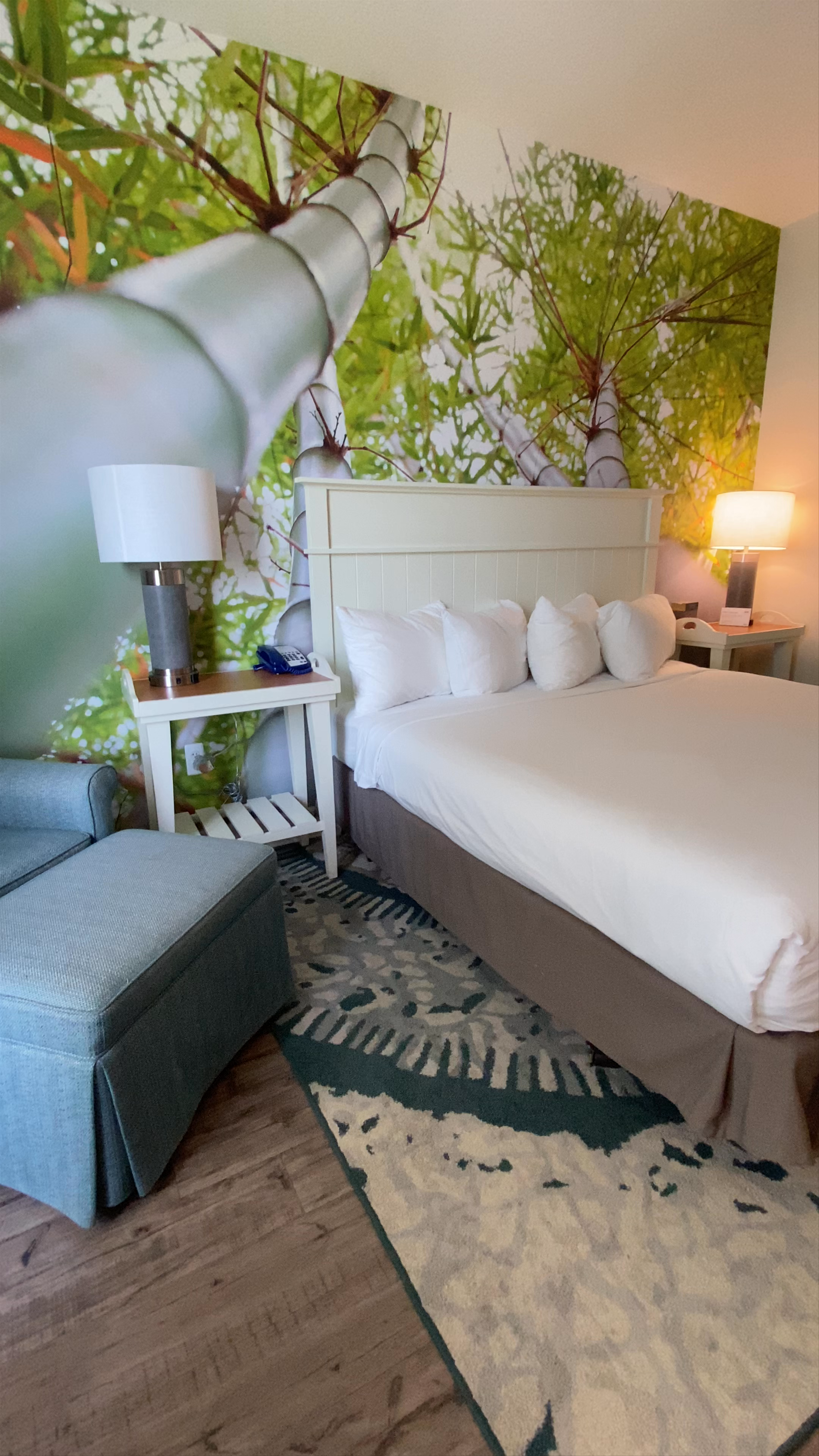 voco Sarasota by IHG: Serene Coastal Comfort in Sarasota, Florida