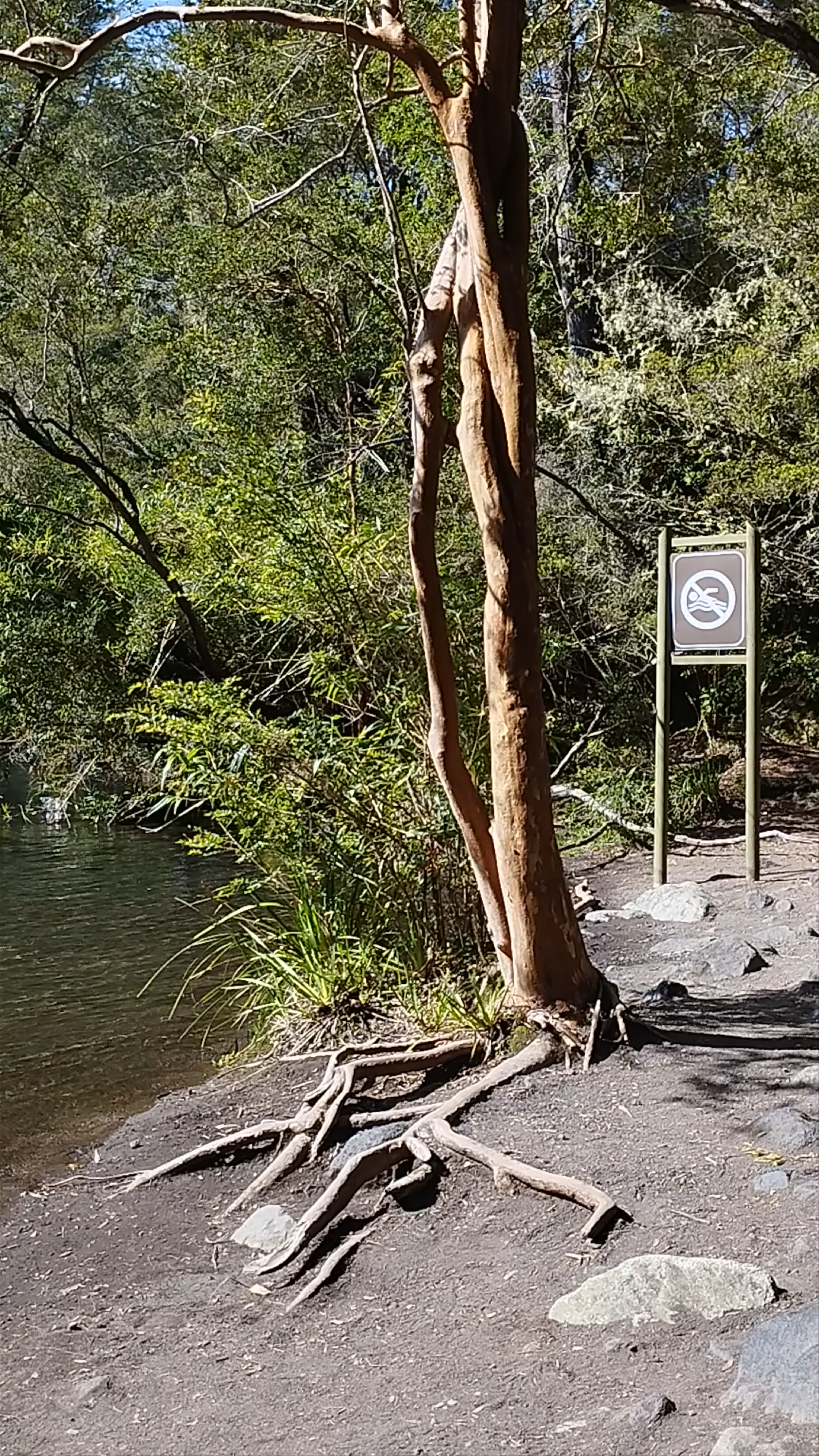 Laguna de los Enamorados