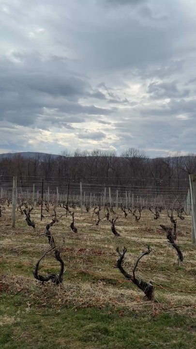 Fjord Vineyards - Wine Tasting Room Near Me - Milton, New York
