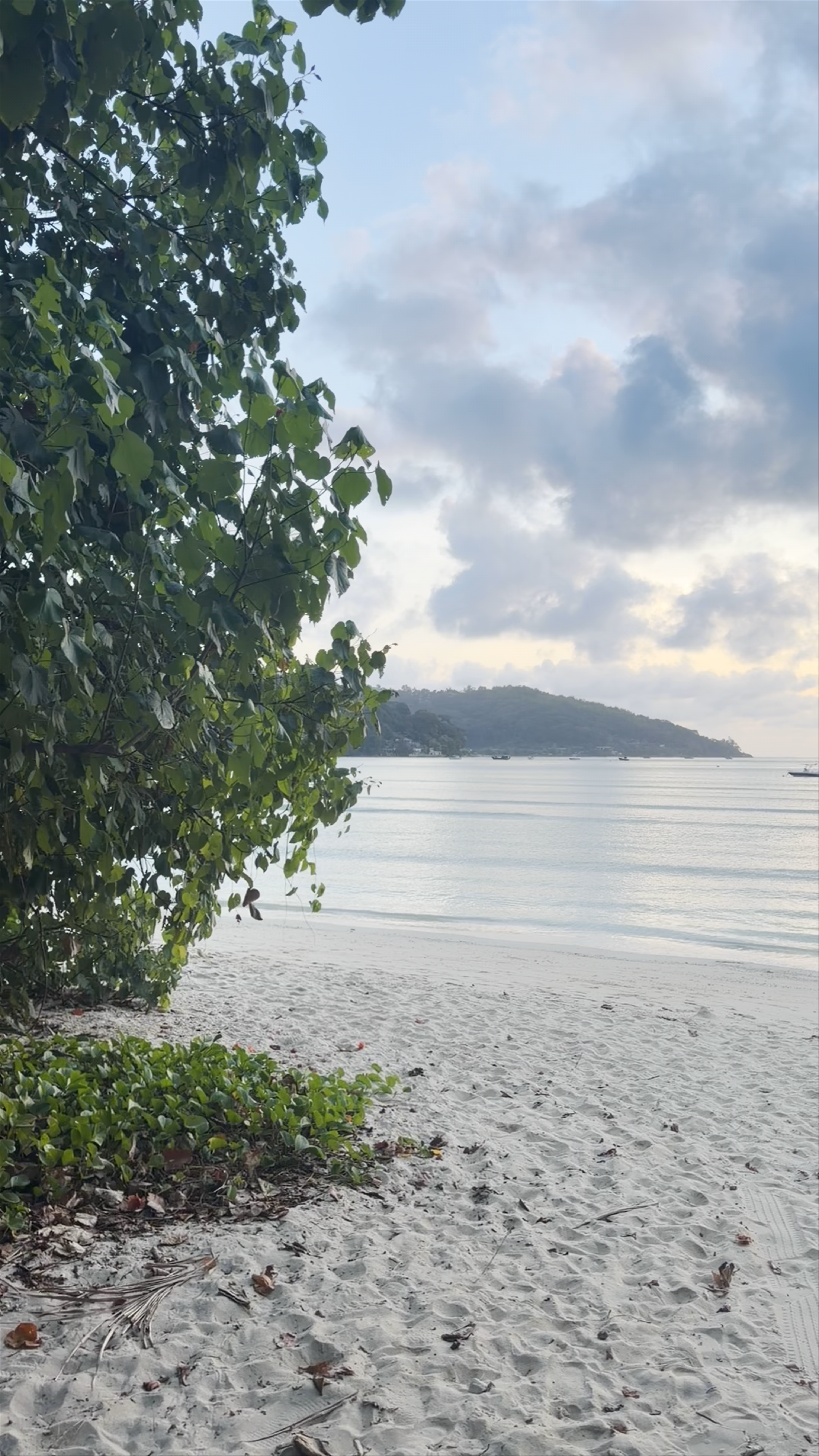 Anse A La Mouche