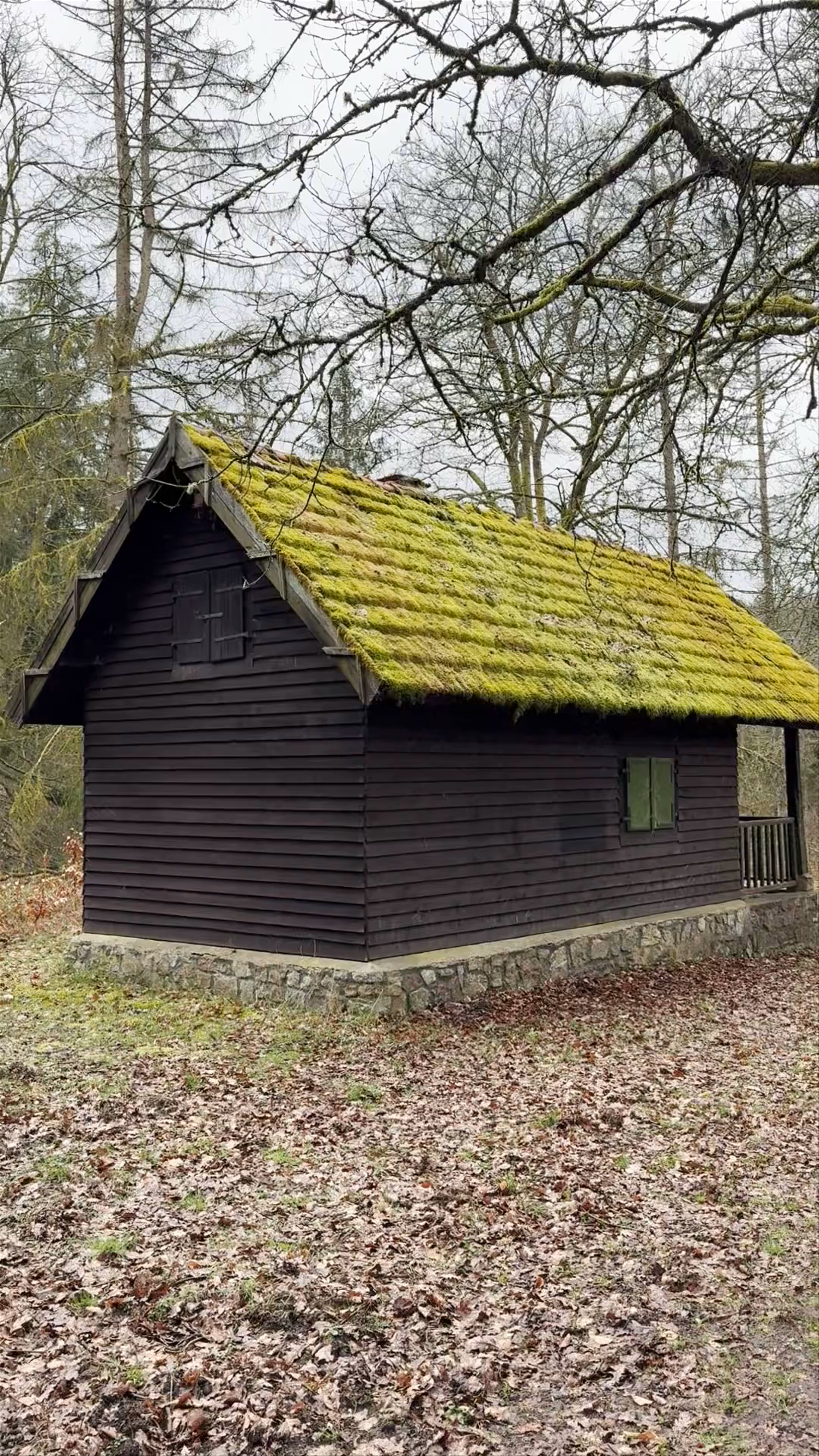 Nationalpark-Tor Keltenpark - Nationalpark Hunsrück-Hochwald